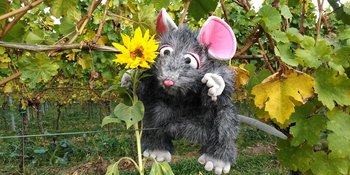 Kichenmaus Micha mit Sonnenblume