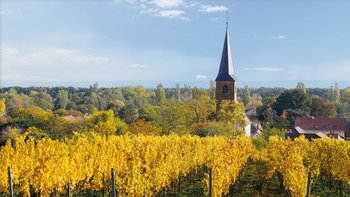 Kirche St. Margareta (Forst) Kirche St. Margareta (Forst)