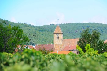 Kirche mitten unter Bäumen